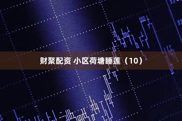 财聚配资 小区荷塘睡莲（10）