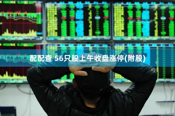 配配查 56只股上午收盘涨停(附股)