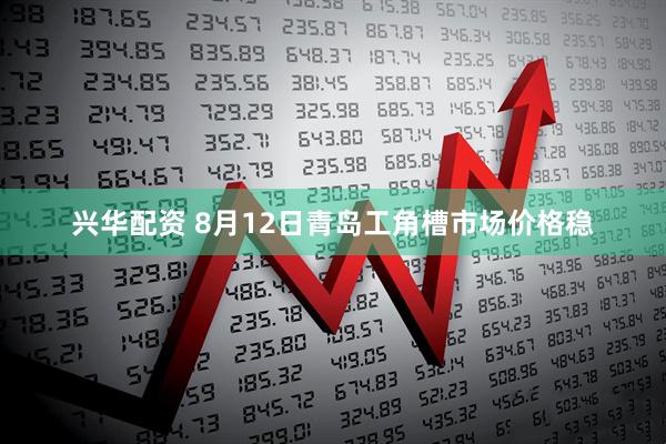 兴华配资 8月12日青岛工角槽市场价格稳