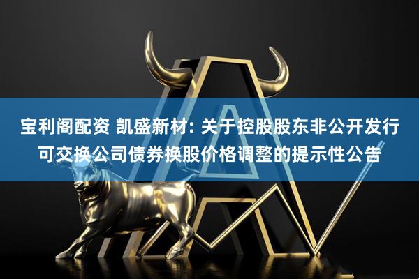 宝利阁配资 凯盛新材: 关于控股股东非公开发行可交换公司债券换股价格调整的提示性公告